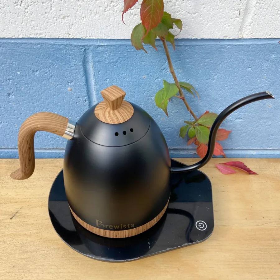 Artisan Gooseneck Kettle